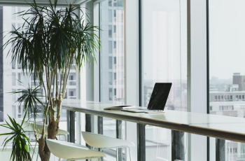 Office Lighting 101: The Definitive Guide to Brighten Your Workspace